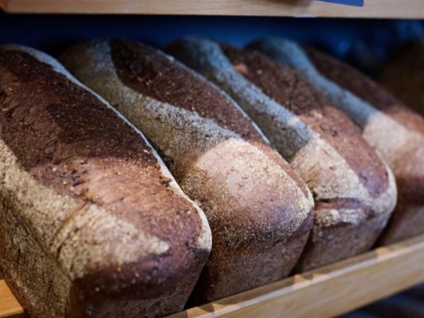 Brood