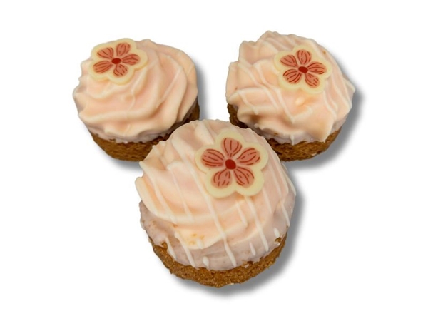 Lentekoek framboos